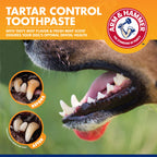 Arm & Hammer Dog Toothpaste, Enzymatic Tartar Control, 72 Pack