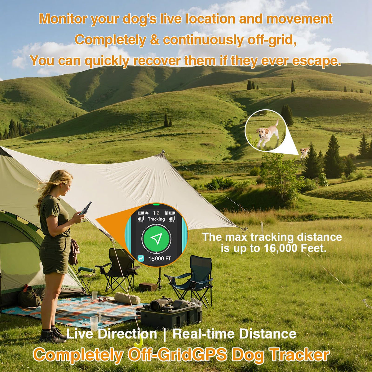3-in-1 Wireless Dog Fence, Real-Time GPS Tracker & Training Collar