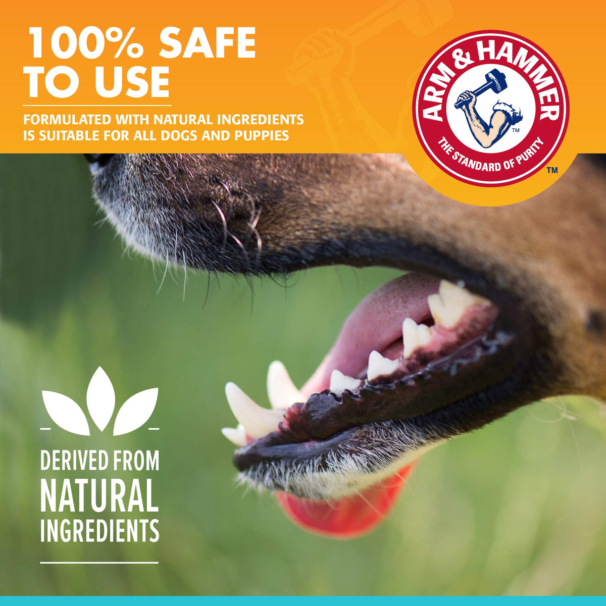 Arm & Hammer, Dog Dental Mints, Tartar Control, Beef Flavor, 40 Count