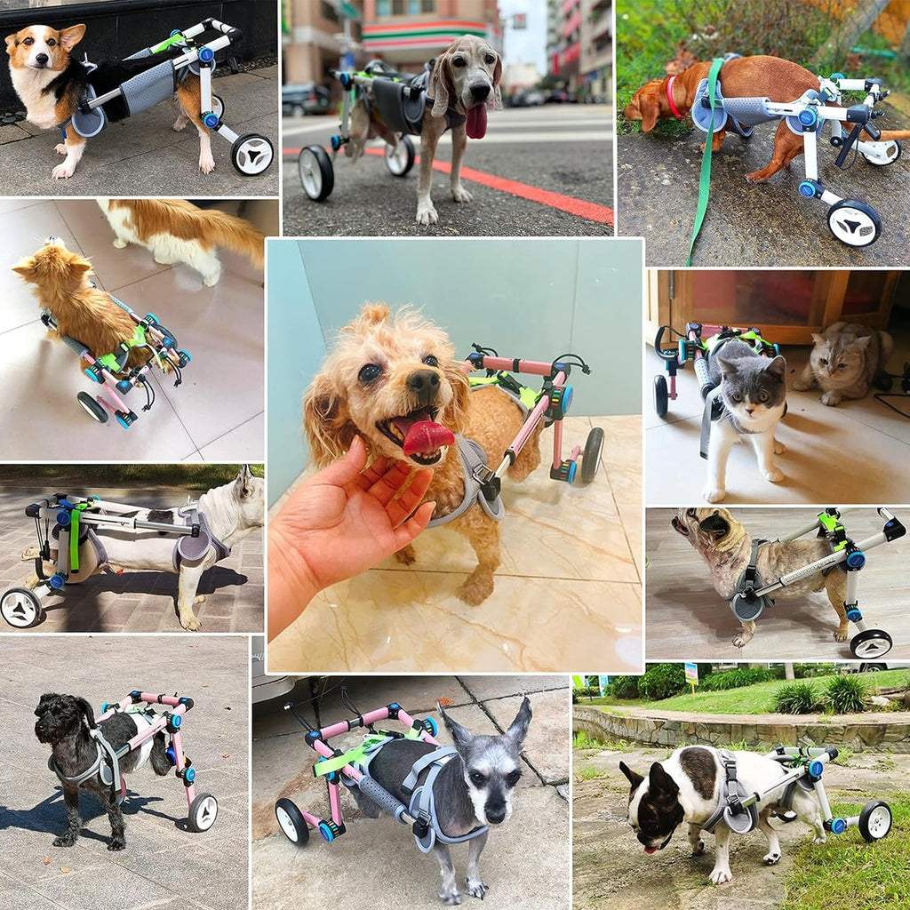 Adjustable Dog Cart, Dog Wheelchair for Back Legs, Foldable Dog Wheelchair Dog Leg Brace and Hip Support Assist Small Pets with Paralyzed Hind Limbs to Recover Their Mobility,XL